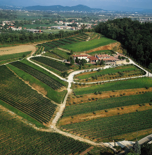 Fattoria di Manzano
