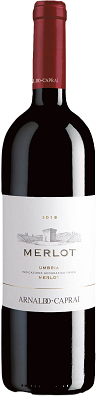 Merlot Umbria IGT