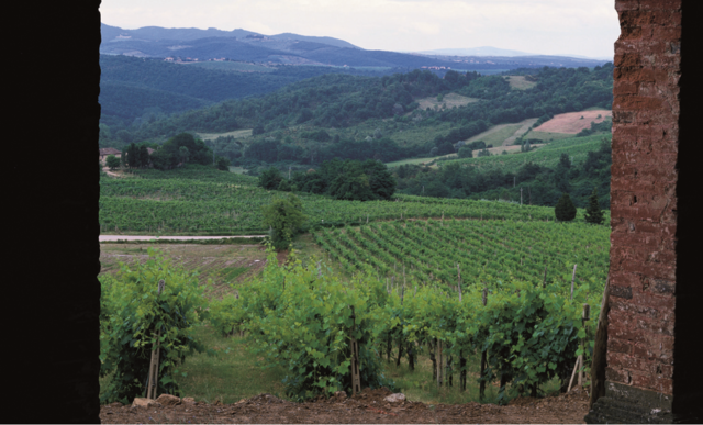 Bove, Avezzano