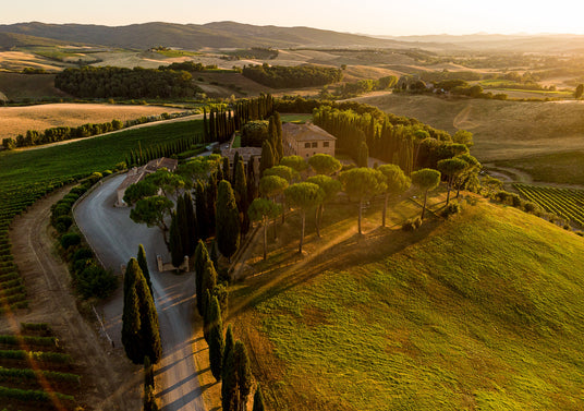 Altesino,Montalcino