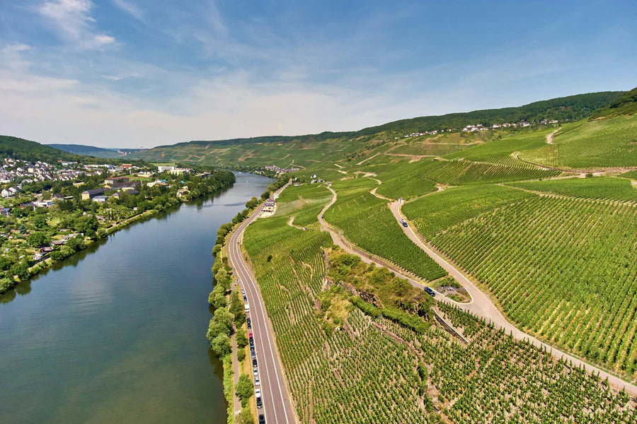 Dr. Loosen,Mosel