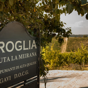 Broglia
