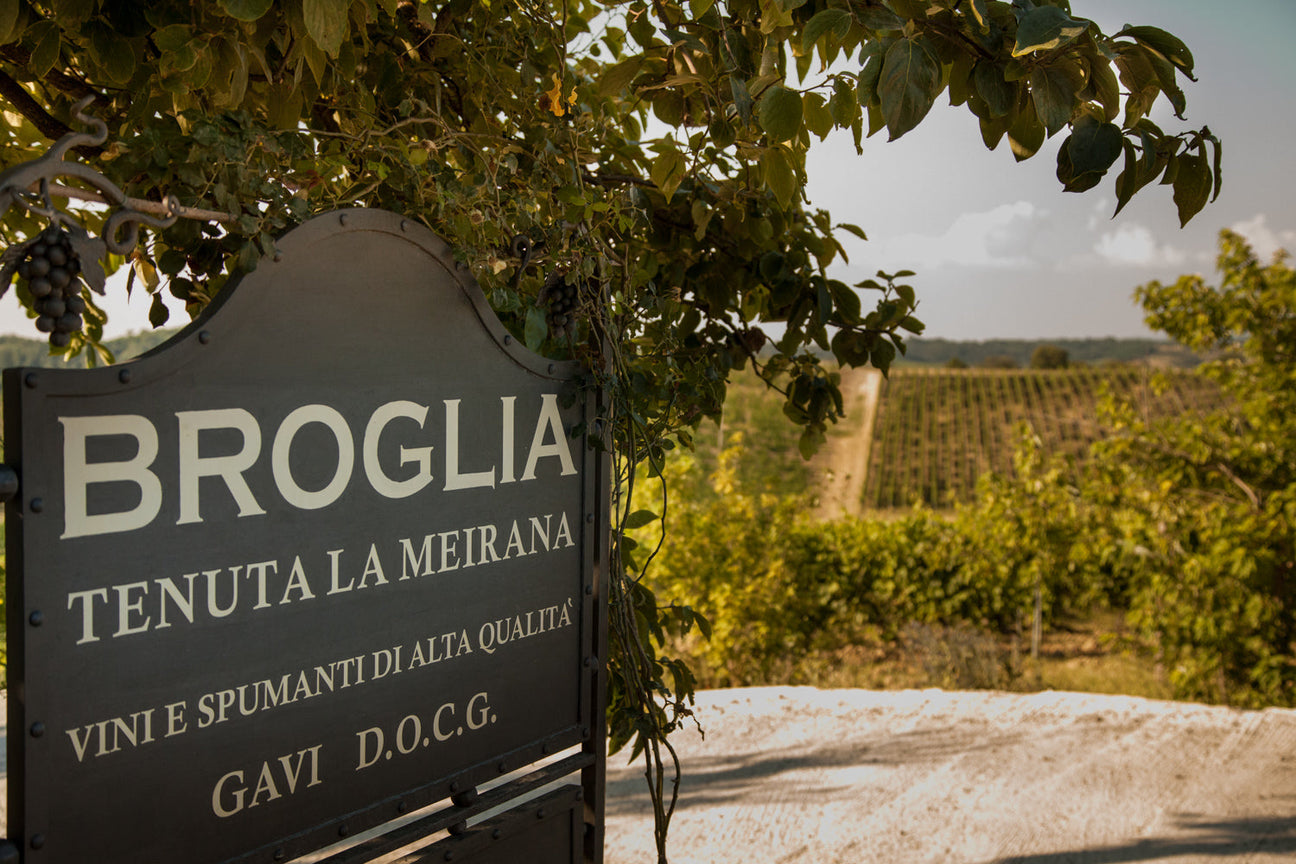 Broglia, Gavi