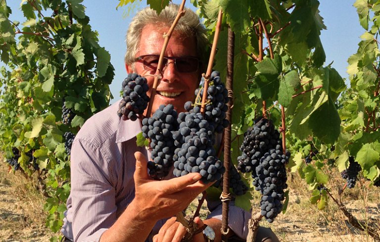 Cantine Due Palme, Cellino San Marco
