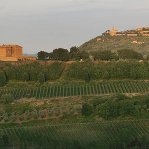 Castello Romitorio