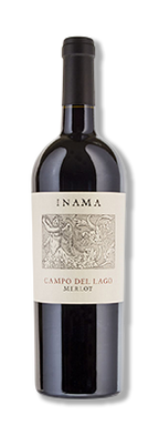 Campo del lago