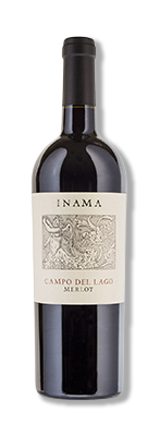Campo del lago