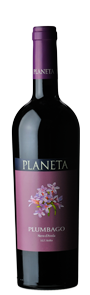 Plumbago Nero D'Avola Menfi DOC